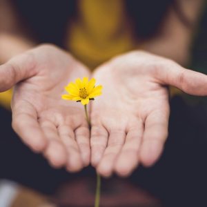 Printable Hand Care Tracker